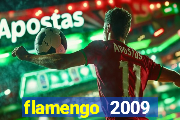 flamengo 2009 campeonato brasileiro